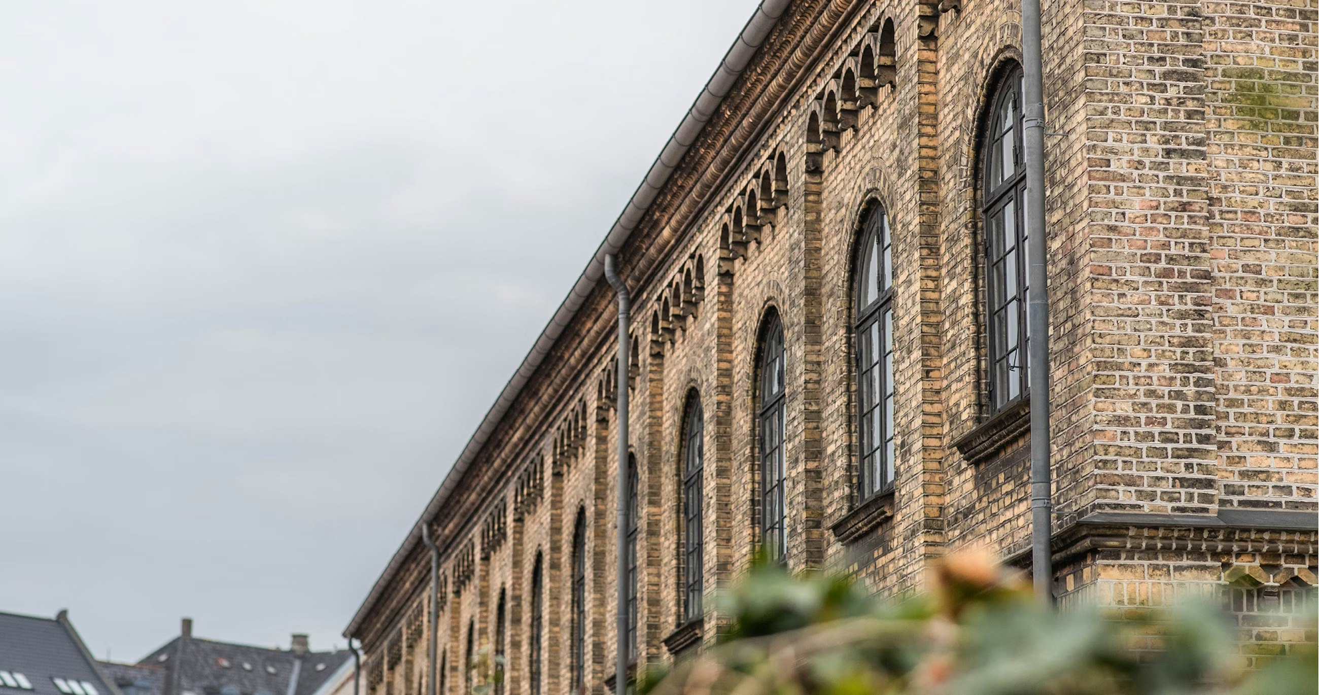 A16c690d5101ab7beded091383f9588ff5e726f6