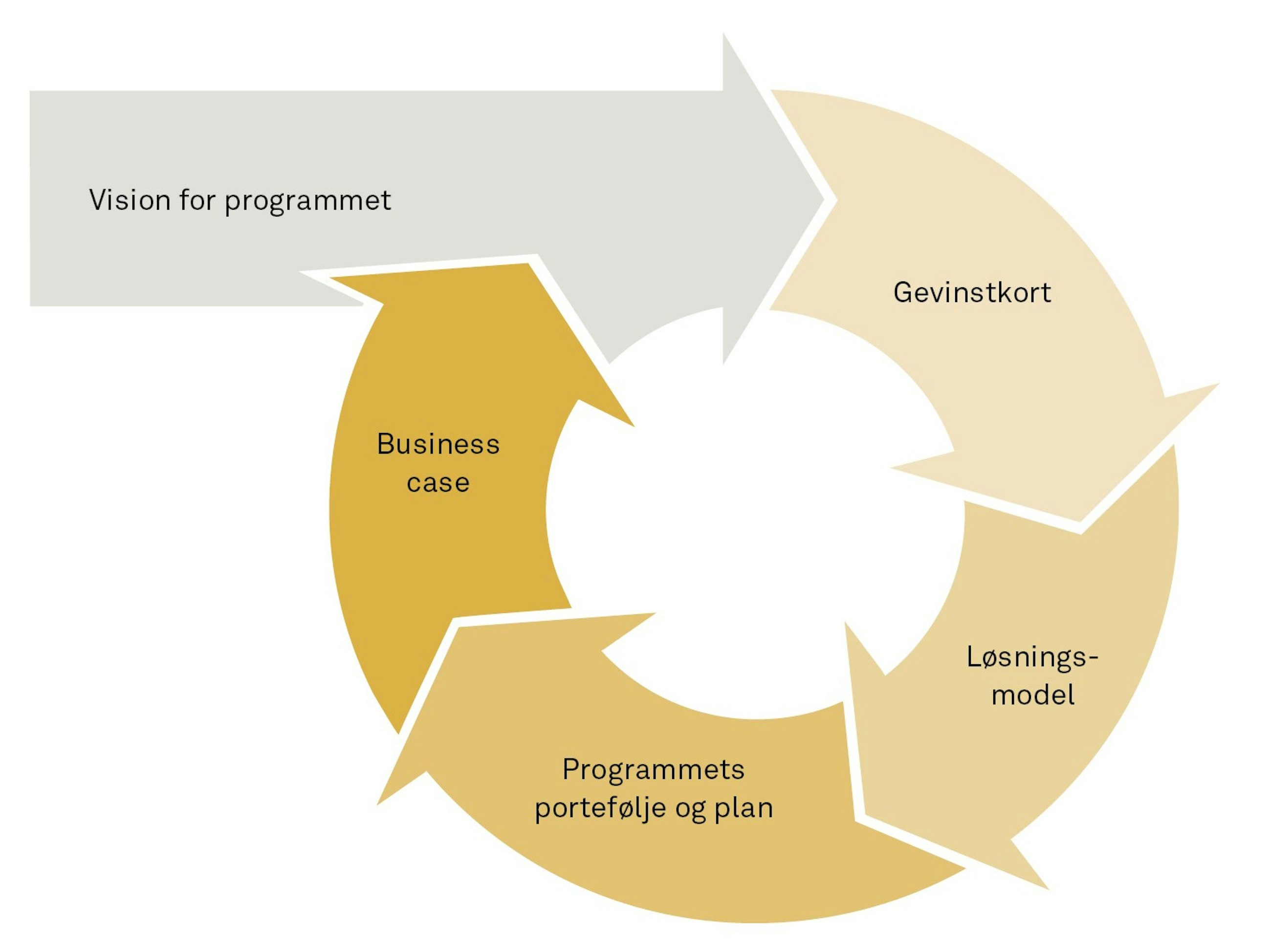 Programledelse i den offentlige sektor fig01