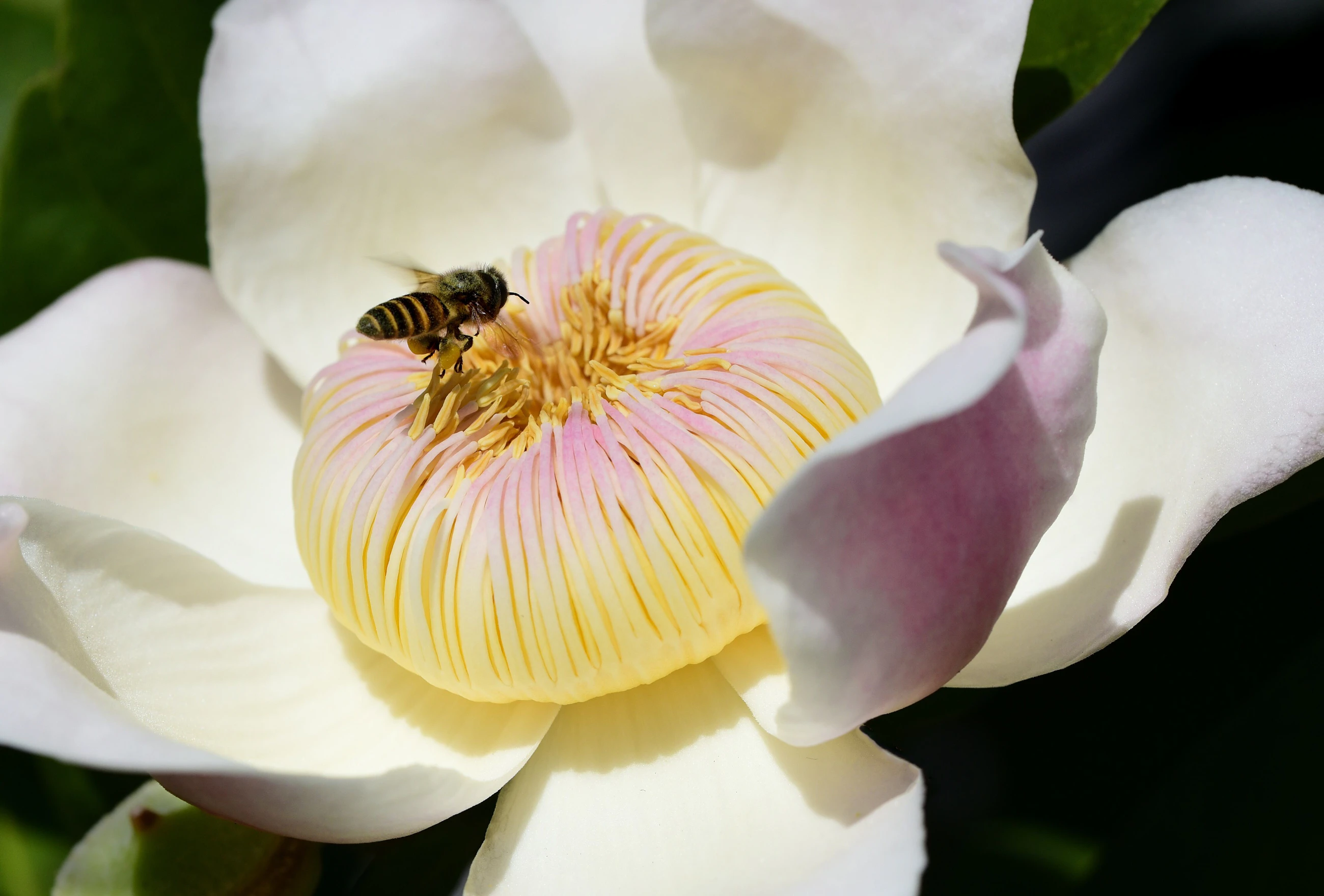 Laya clode T8fnr I orh I unsplash