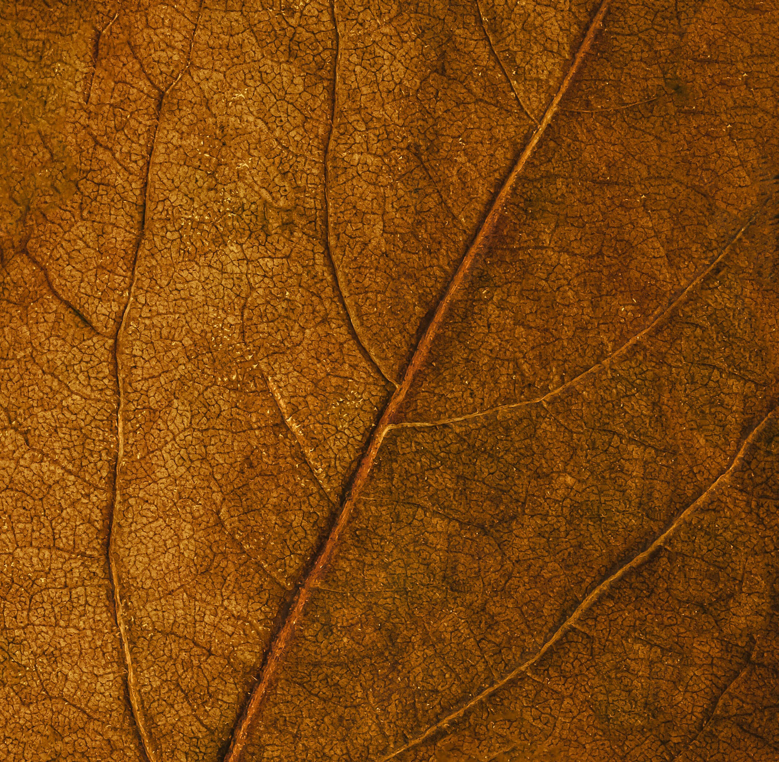 Omid armin qmlmwl4h9so unsplash