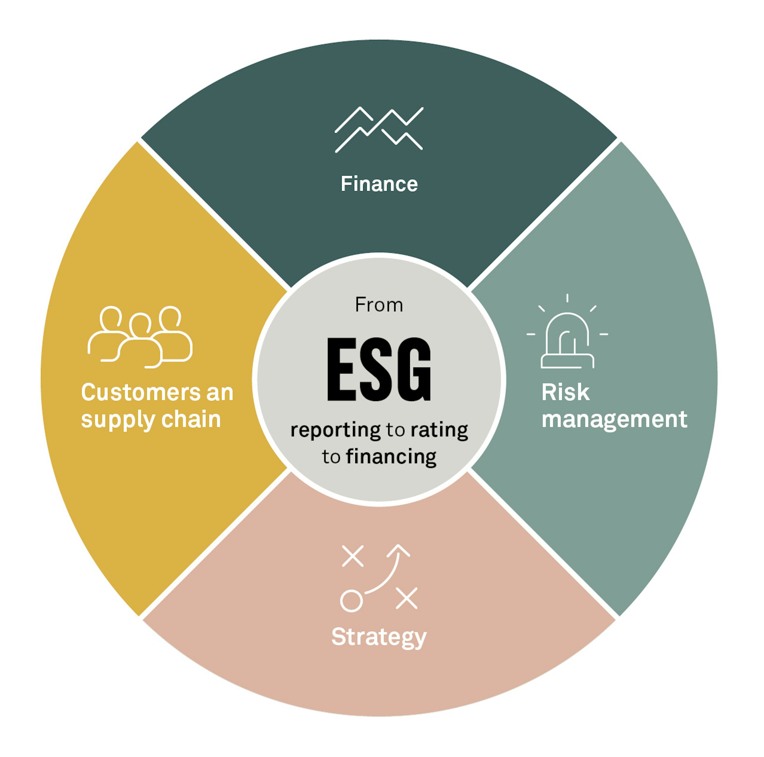 The new transformation fig01