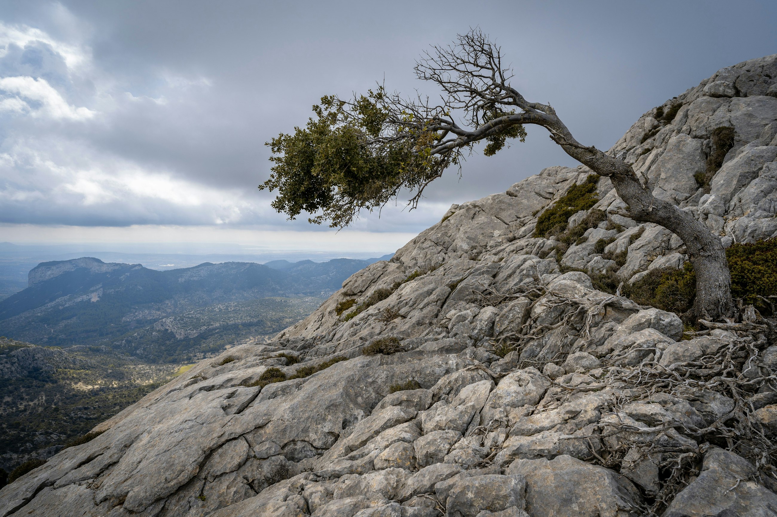 Pedro sanz 5viu CBI Xyw A unsplash