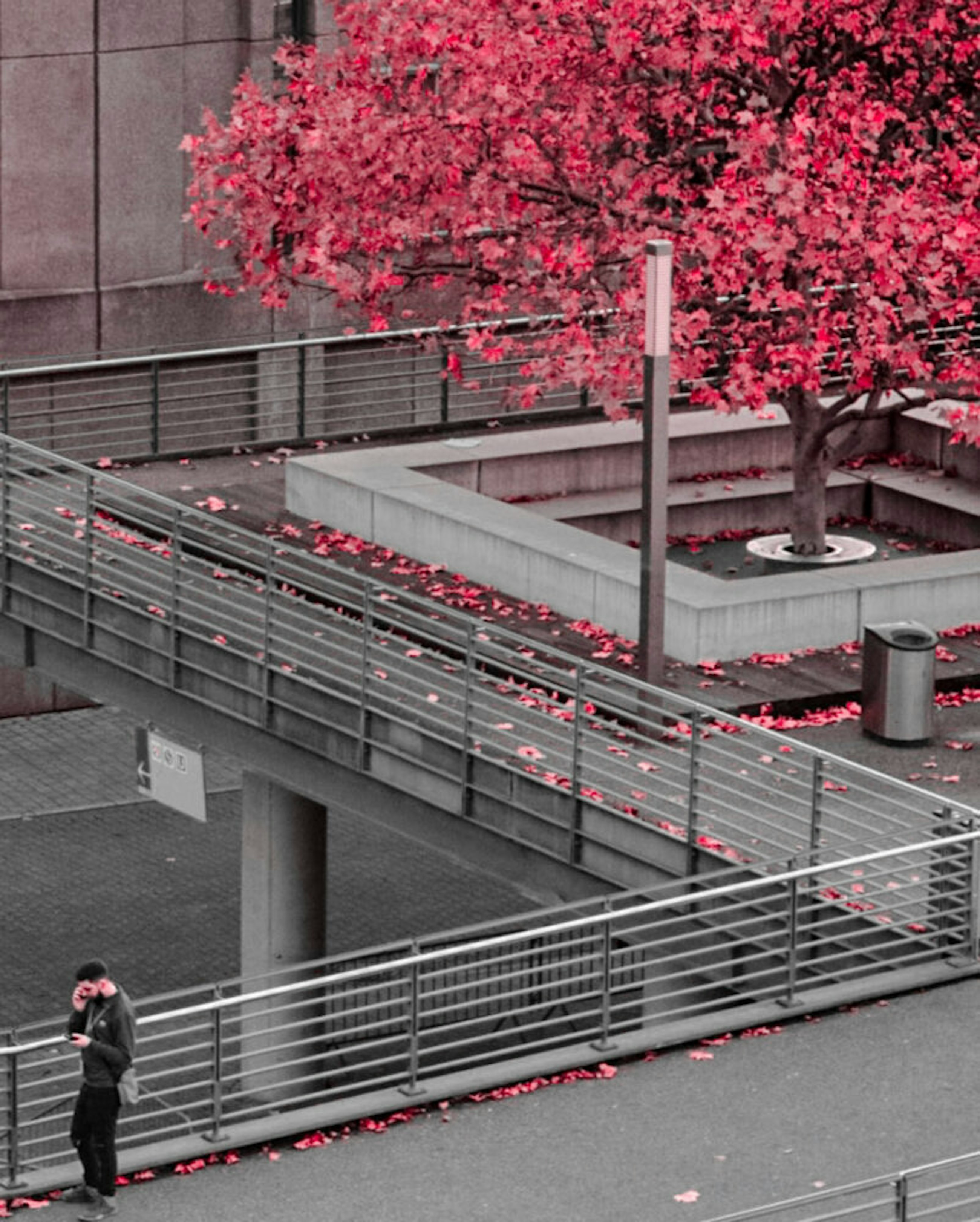 Sebastiaan stam JZ835s6tf3 A unsplash