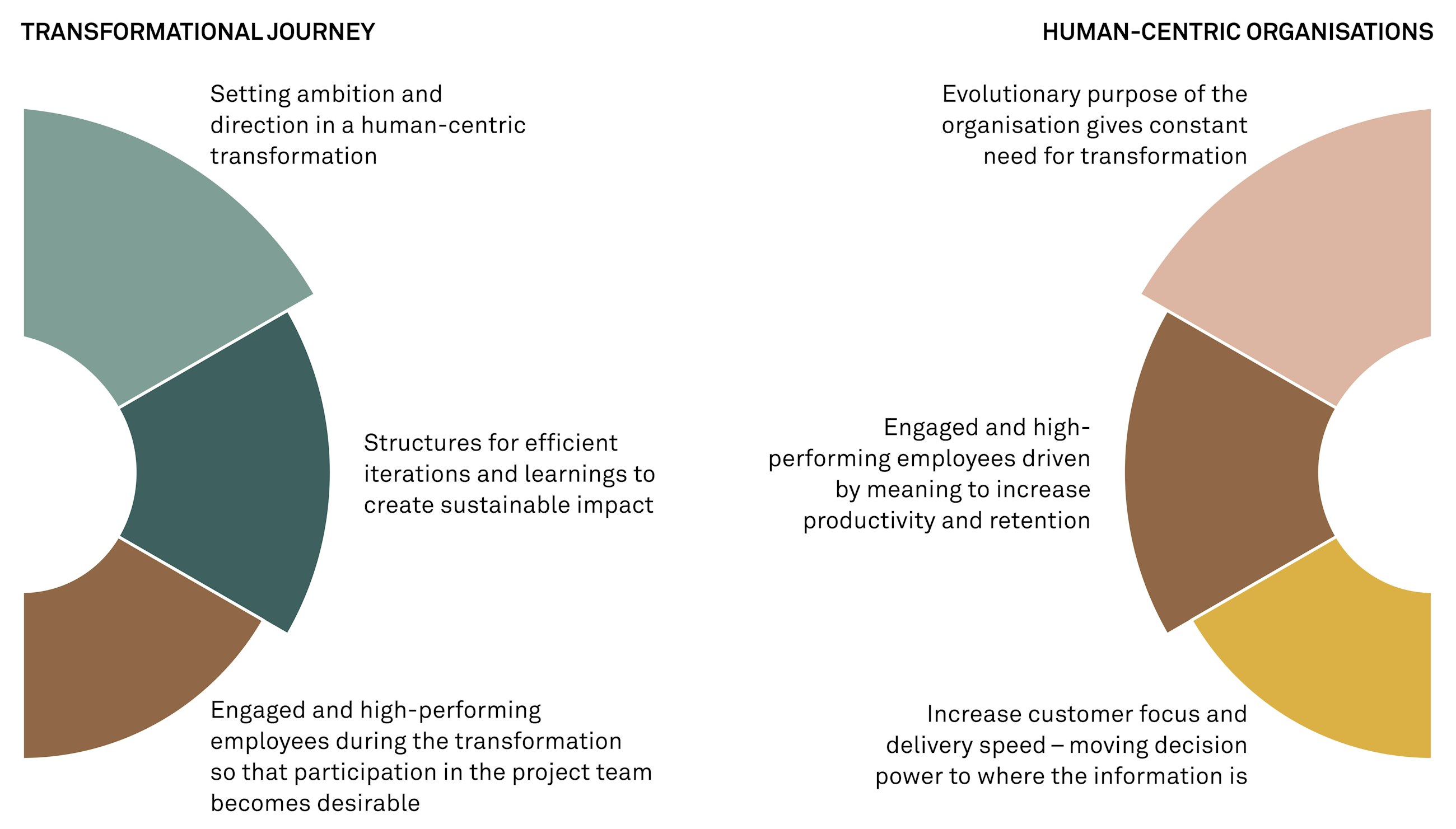 Human centric transformations red