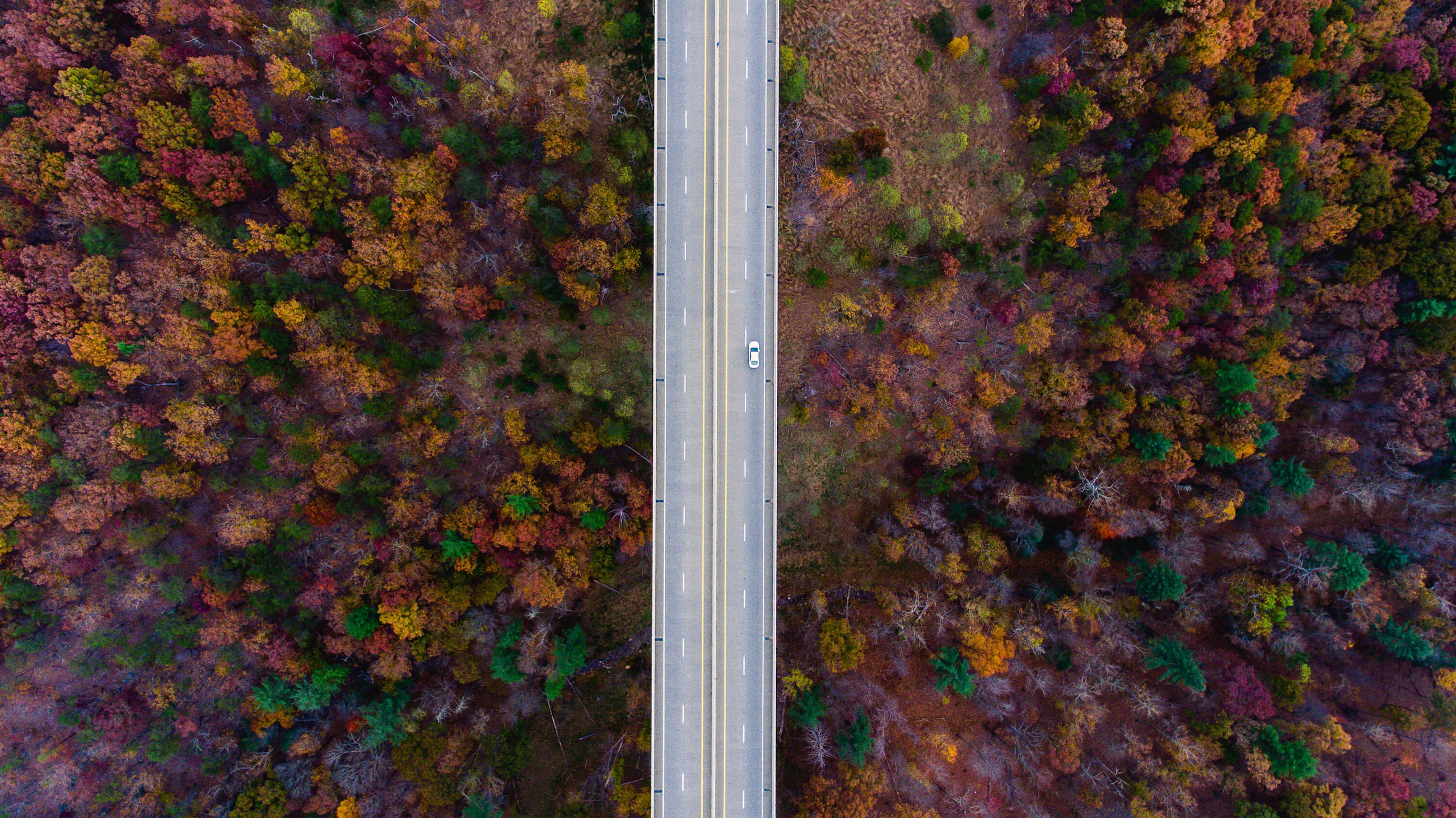 Lance asper o Jv439 U1y W4 unsplash